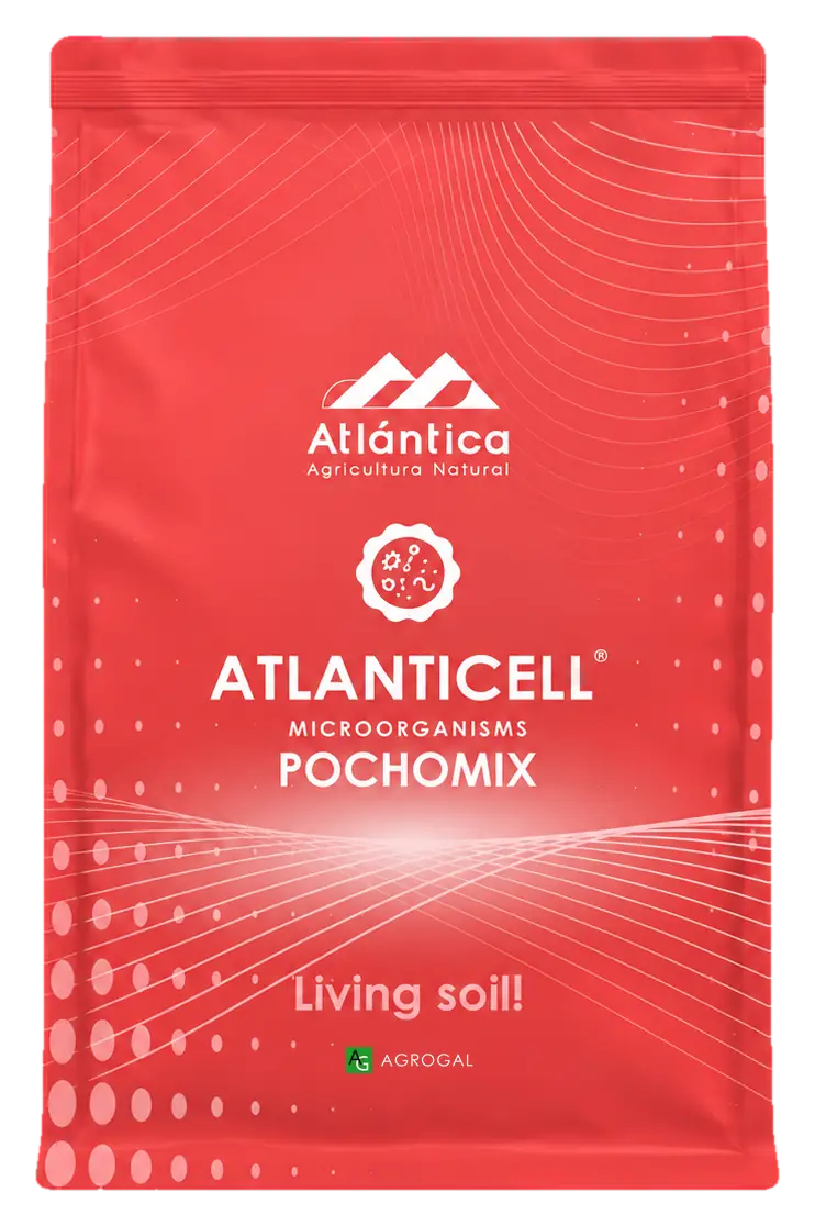 Envase de Atlanticell Pochomix