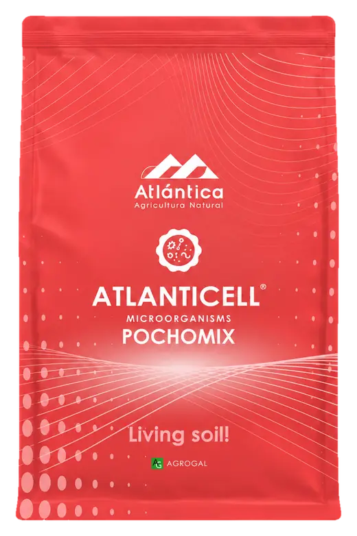 Envase de Atlanticell Pochomix
