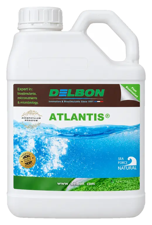 Envase de Atlantis