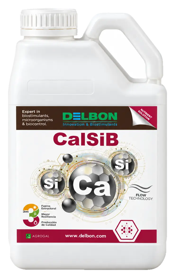 Envase de CalSiB