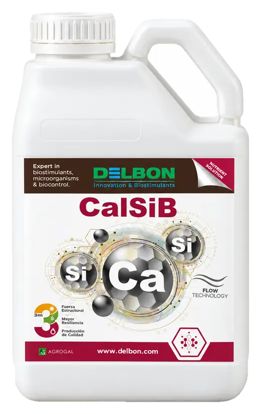 Envase de CalSiB