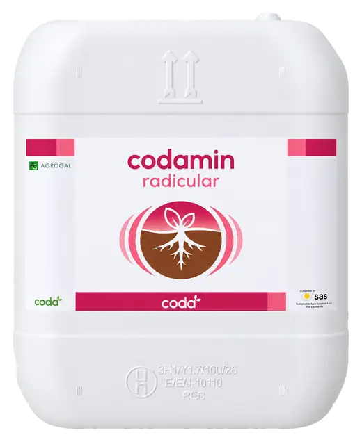 Envase de Codamin Radicular