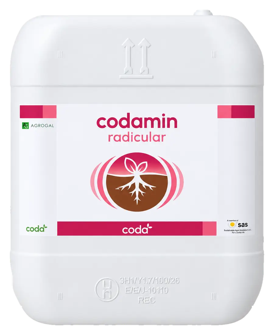 Envase de Codamin Radicular