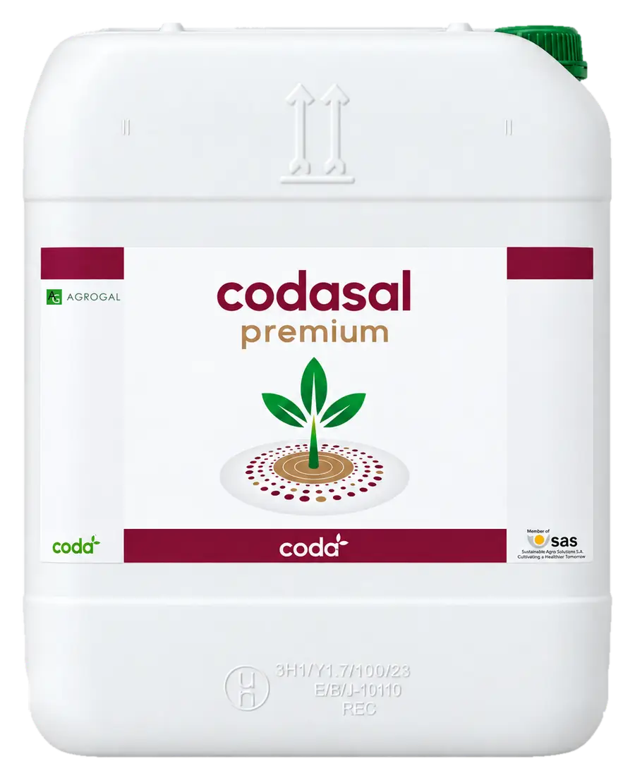 Envase de Codasal Premium