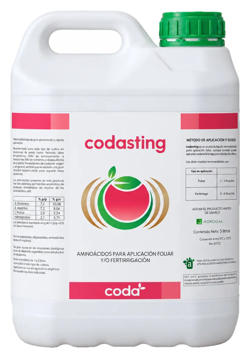 Envase de Codasting
