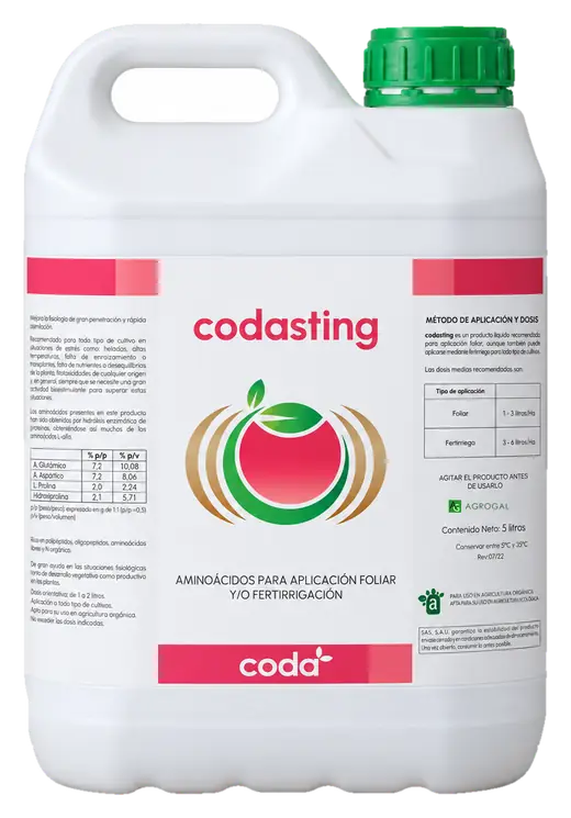 Envase de Codasting