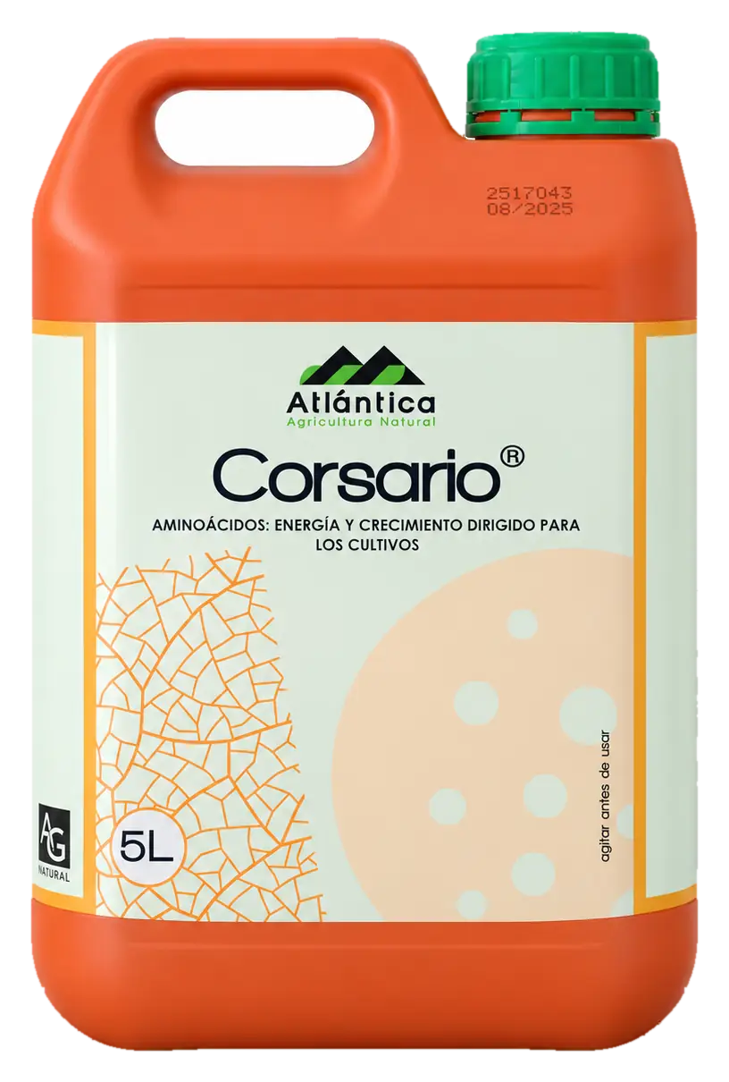Envase de Corsario