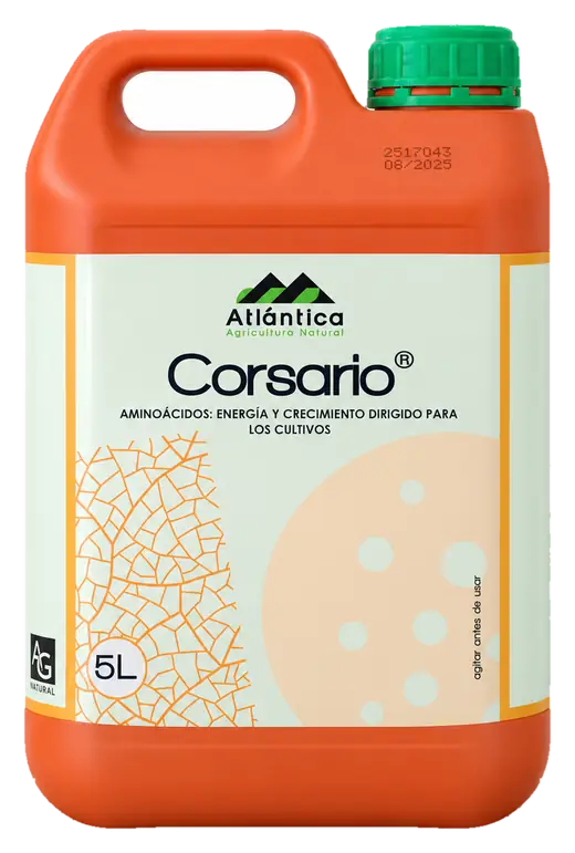 Envase de Corsario