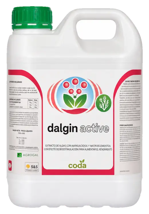 Envase de Dalgin Active