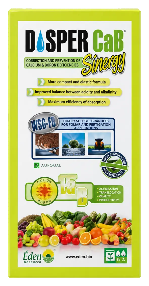 Envase de Disper CaB Sinergy