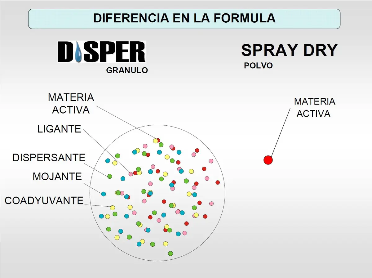 Esquema que compara el gránulo Disper, con materia activa, ligante, dispersante, mojante y coadyuvante, con un polvo atomizado que solo lleva materia activa
