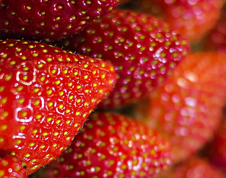 Fresas
