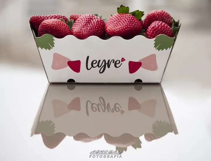 Fresas Leyre