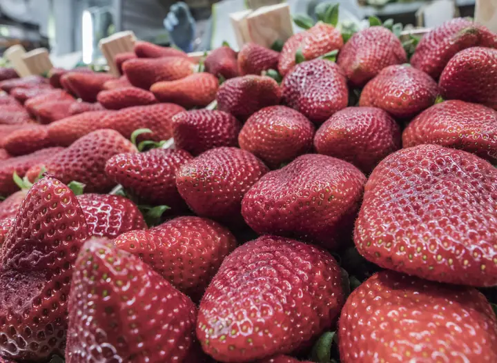 Fresas