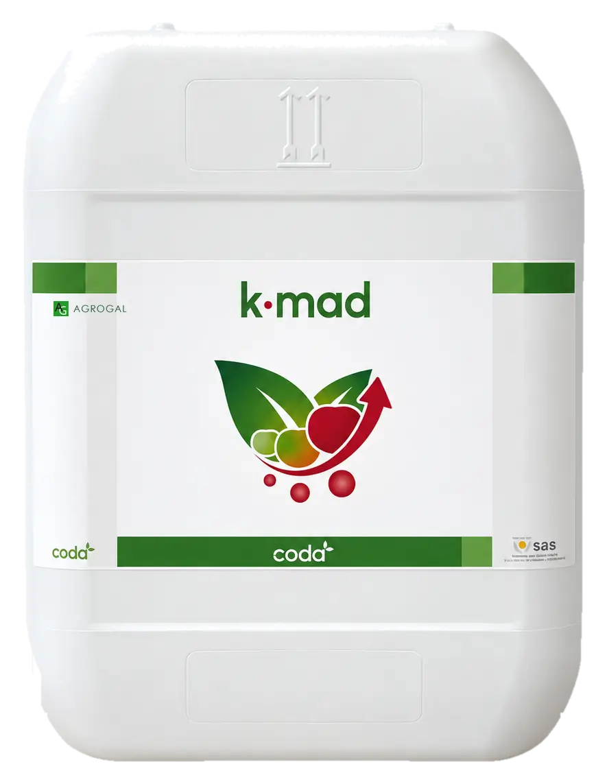 Envase de K·MAD