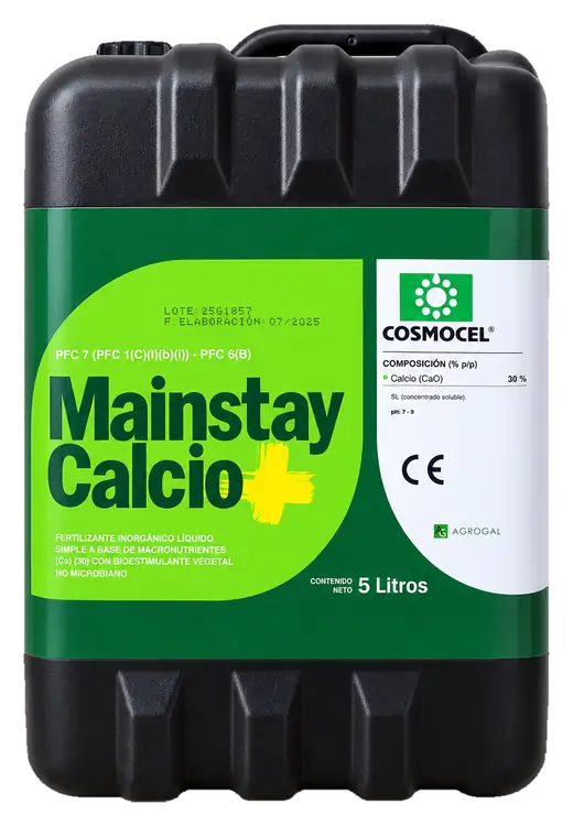 Envase de Mainstay Calcio