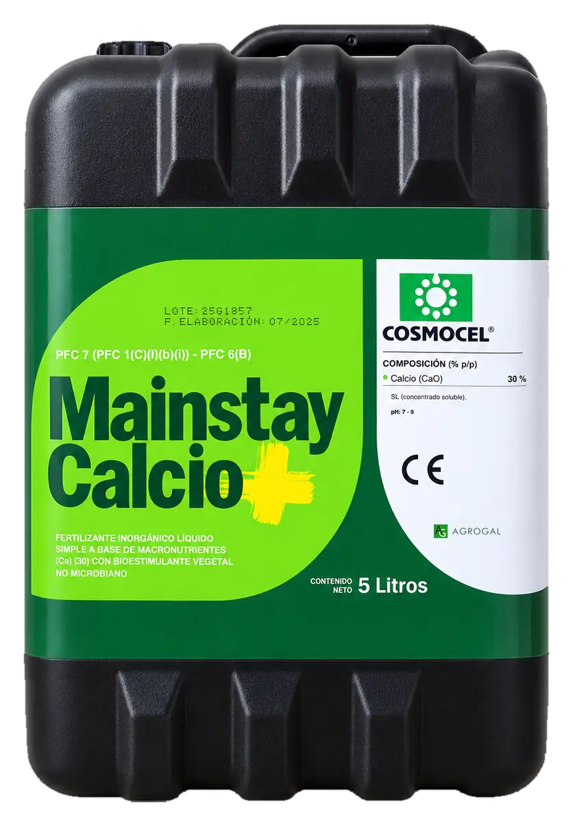 Envase de Mainstay Calcio