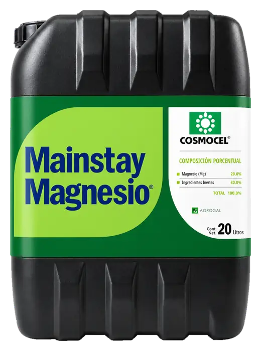 Envase de Mainstay Magnesio