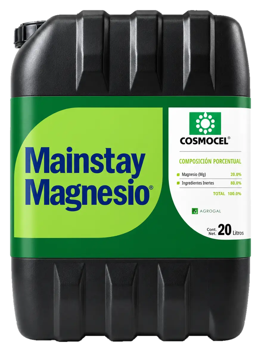 Envase de Mainstay Magnesio