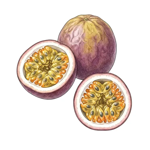 Maracuyá: lámina del fruto