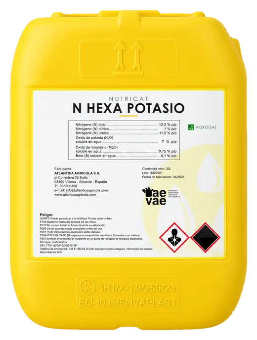 Envase de Nitro Hexa K