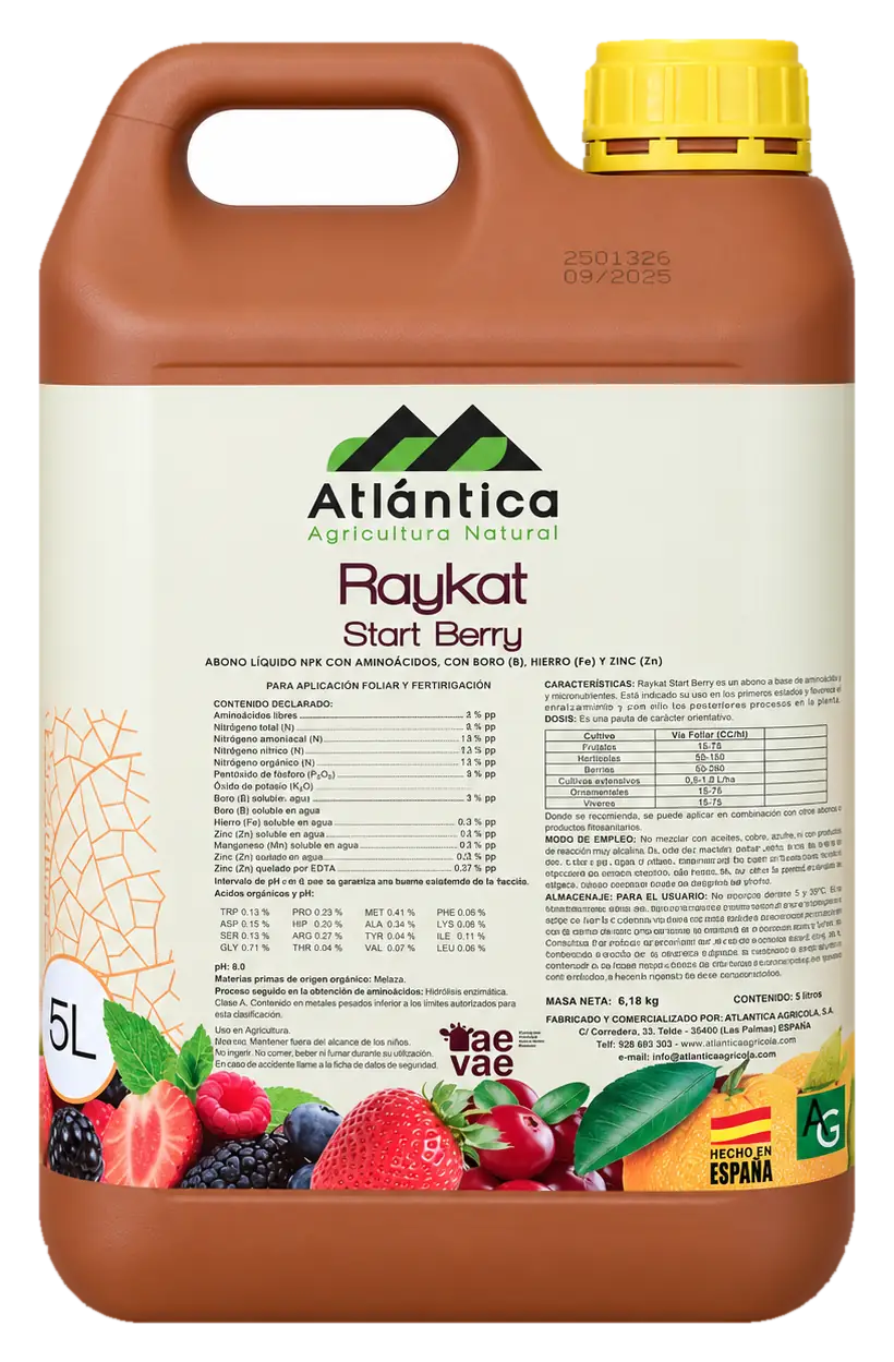 Envase de Raykat Start Berry