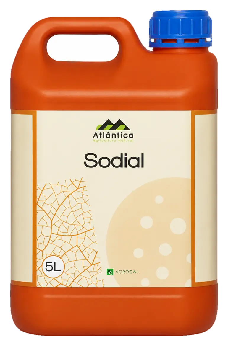 Envase de Sodial