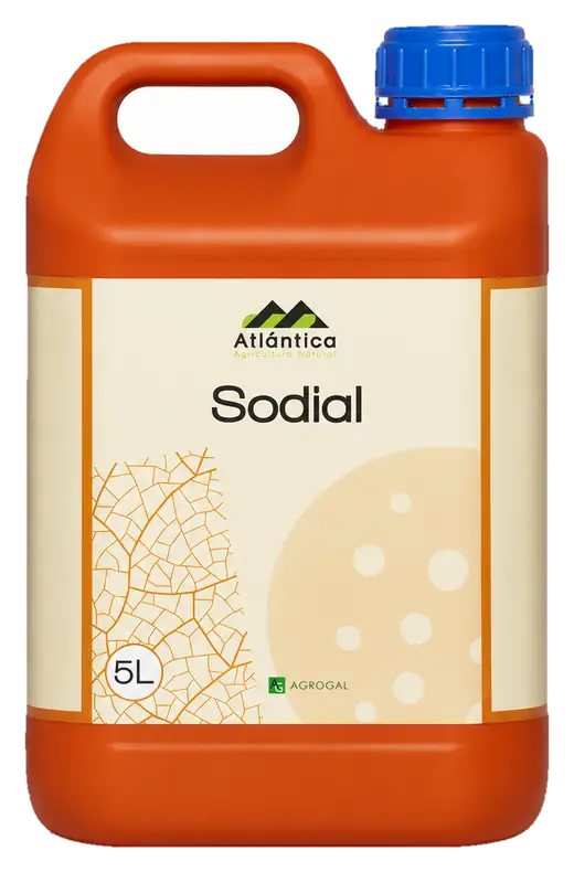 Envase de Sodial